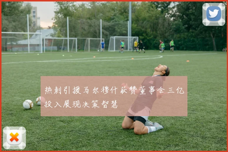 热刺引援马尔穆什获赞董事会三亿投入展现决策智慧