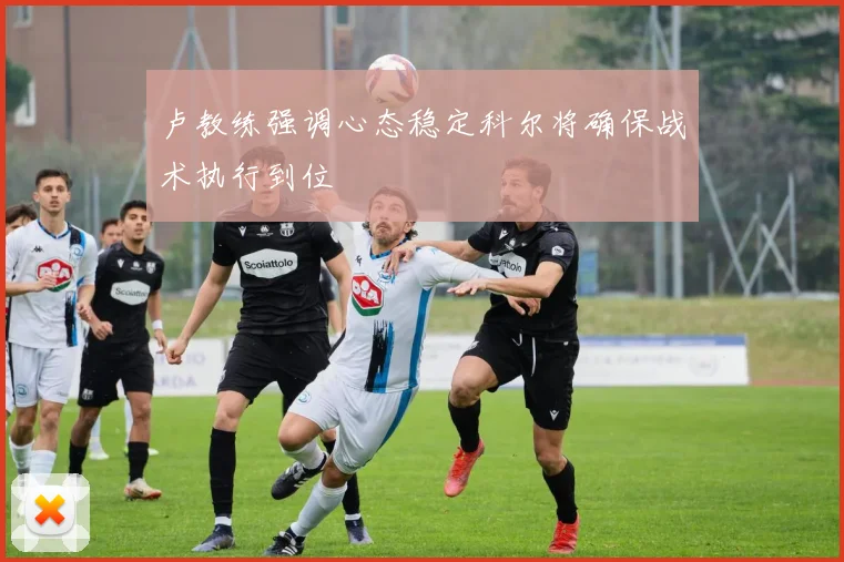 卢教练强调心态稳定科尔将确保战术执行到位